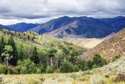 dog parks and hiking trails in sun valley, Idaho
